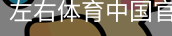 左右体育中国官方网站